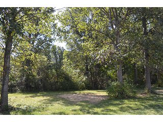 Property photo 14 - LAND AUCTION - 99+/- Acres offered in 4 Tracts or Combinations in Allen County
